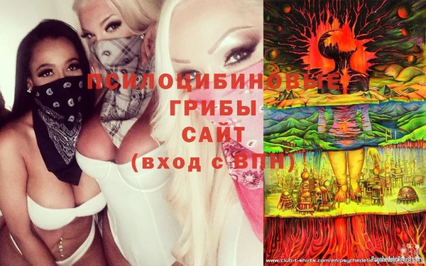 соль курить ск Алексеевка